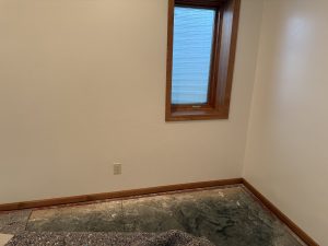 Identified Moisture in Basement