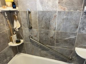 Grab bar in shower